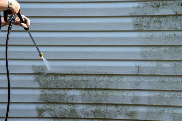 Best Garage Cleanout  in Bagdad, FL